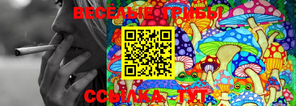 Галлюциногенные грибы Magic Shrooms Кунгур