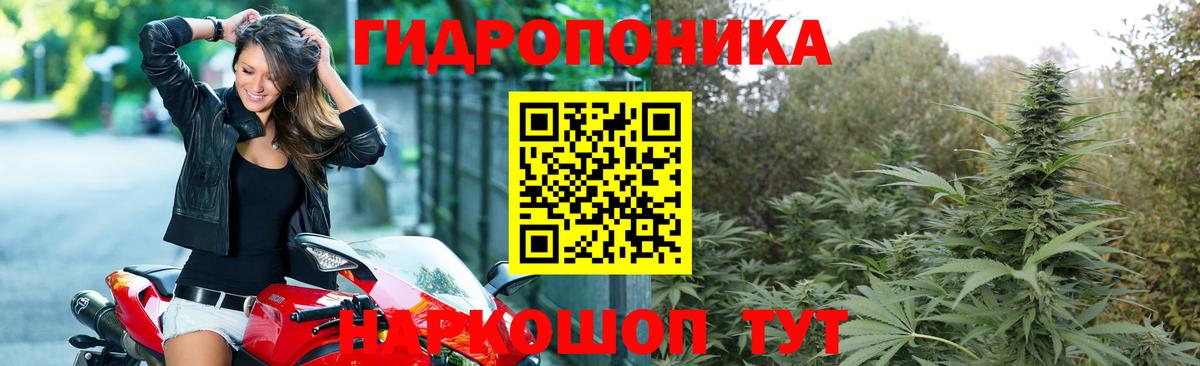 МАРИХУАНА Ganja  Шишки марихуана Ganja  Кунгур  Вход с VPN 